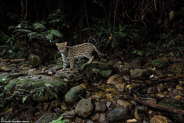 nhung diem du lich dep tuyet voi ban nen den trong nam 2019