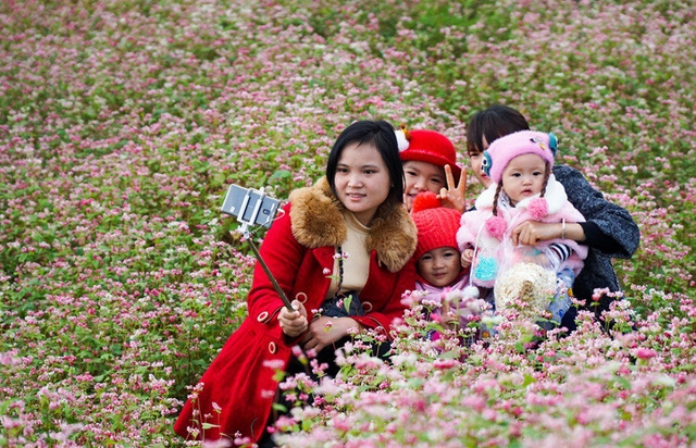 ngam doi hoa tam giac mach tuyet dep o ha giang