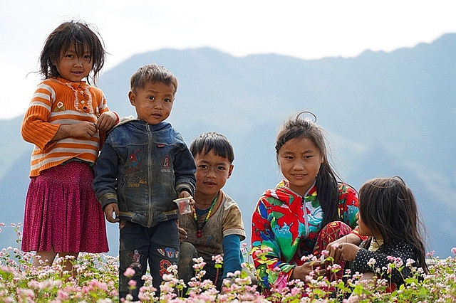ngam doi hoa tam giac mach tuyet dep o ha giang