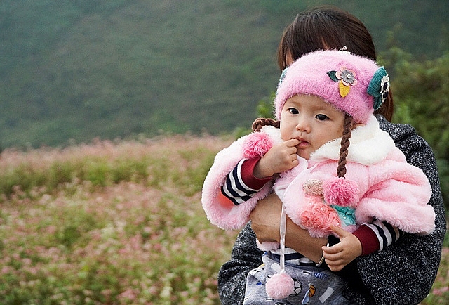 ngam doi hoa tam giac mach tuyet dep o ha giang