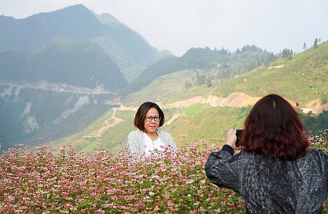 ngam doi hoa tam giac mach tuyet dep o ha giang
