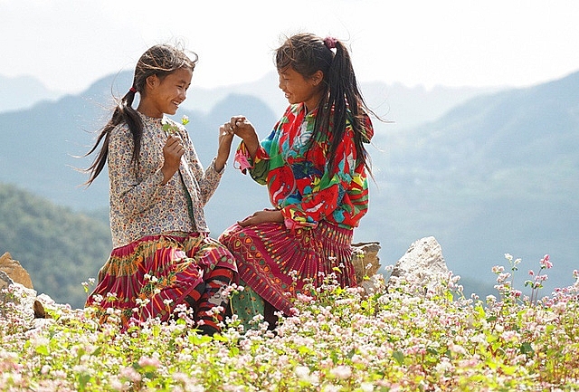 ngam doi hoa tam giac mach tuyet dep o ha giang
