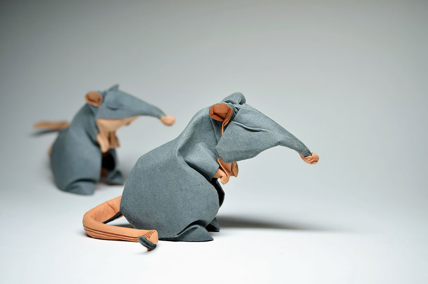 Chàng trai người Việt sáng tạo cách gấp giấy mới cho nghệ thuật Origami