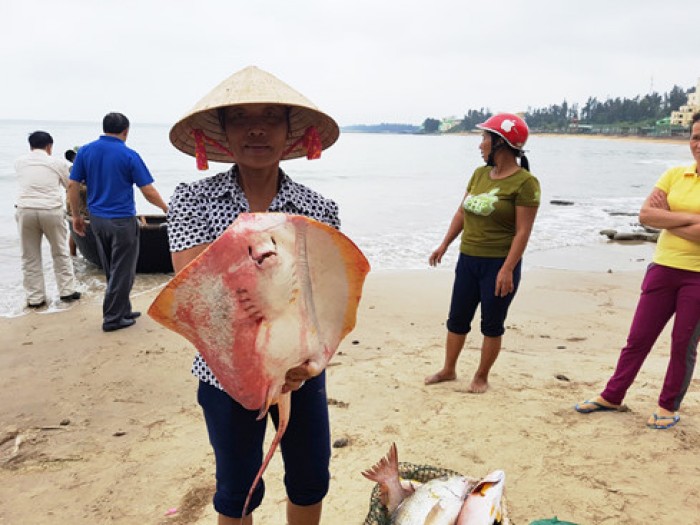 ca chet hang loat tai cac tinh mien trung