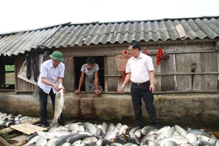 ca chet hang loat tai cac tinh mien trung