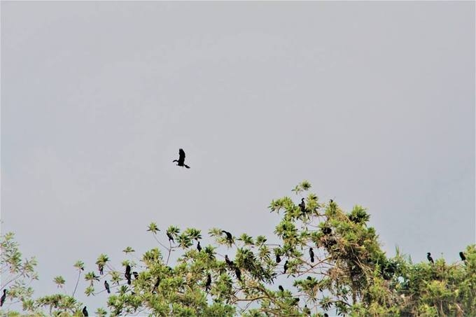 10 trai nghiem dang nho o ben tre mua he