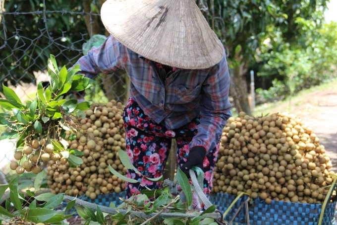 10 trai nghiem dang nho o ben tre mua he
