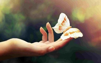 Tử vi thứ 4 ngày 10/08/2016 của 12 con giáp