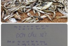 thong tin chinh thuc vu lanh dao tinh yen bai bi ban