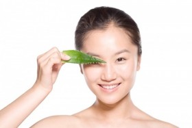 Quà tặng từ thiên nhiên
