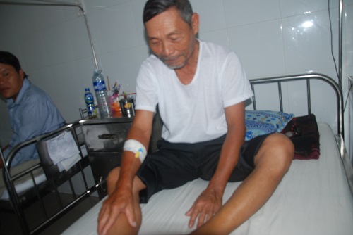 Rừng bị tàn phá, rắn lục đuôi đỏ xuống đồng bằng cắn người