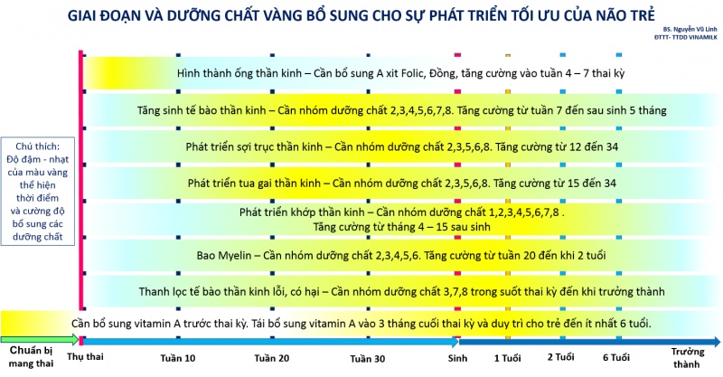 dinh duong vang cho phat trien toi uu nao bo trong nhung nam thang dau doi