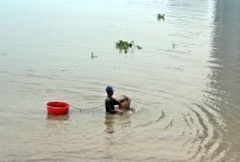 tp hcm de nghi ho dau tieng xa nuoc day man