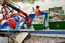 diem lai nhung vu ca chet tren kenh nhieu loc thi nghe
