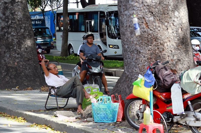 ngam hang cay co thu tren duong ton duc thang truoc khi bi don ha