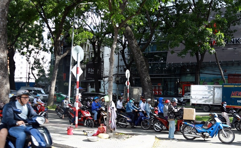 ngam hang cay co thu tren duong ton duc thang truoc khi bi don ha