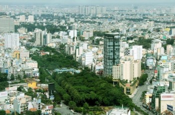 TP HCM: Tiếp tục đốn bỏ cây xanh để làm metro