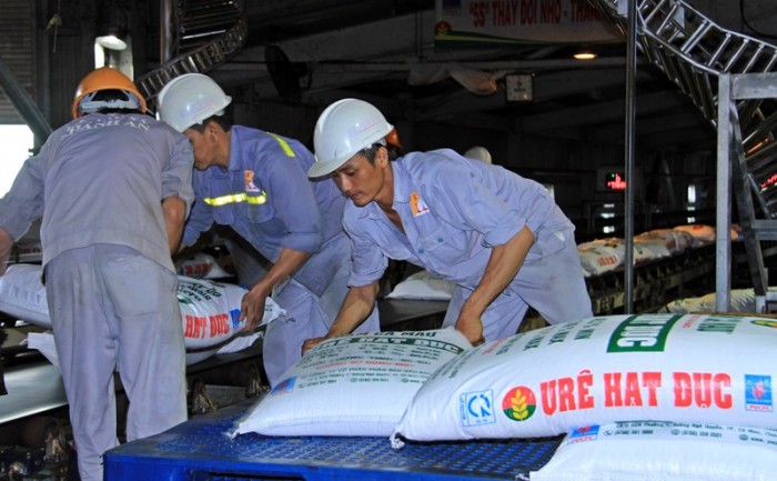 dam ca mau tro thanh lua chon so 1 cua nong dan tay nam bo