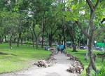 tp hcm khoi cong 4 bai dau xe ngam vao nam 2017