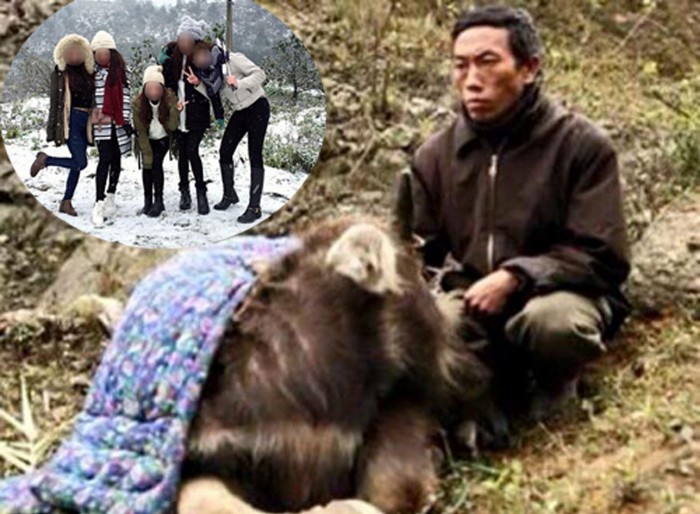 chum anh nghich canh tuyet roi
