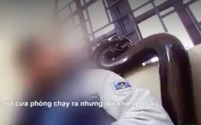 Cục Trẻ em đề nghị hỗ trợ trẻ em nghi bị xâm hại tình dục