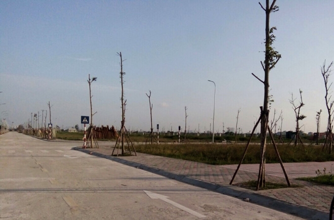 Bộ Xây dựng: Xử lý nghiêm các vi phạm trục lợi, đấu giá đất