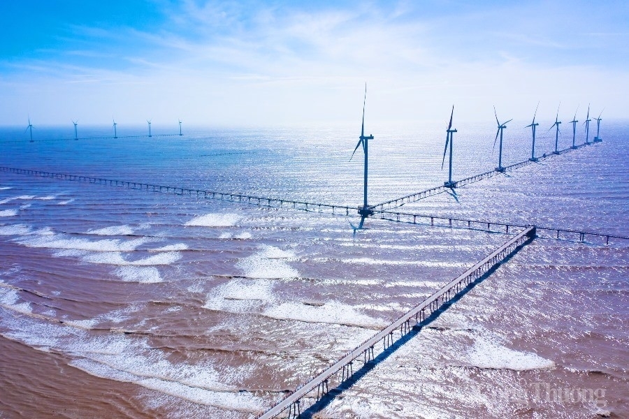 IEEFA: Năng lượng tái tạo trở thành yếu tố quyết định tương lai kinh tế  Việt Nam