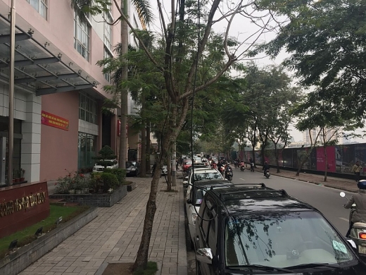 chum anh ha noi truoc gio g ra quan lay lai via he