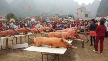 vi sao co nhieu xac lon chet ven duong o lang son