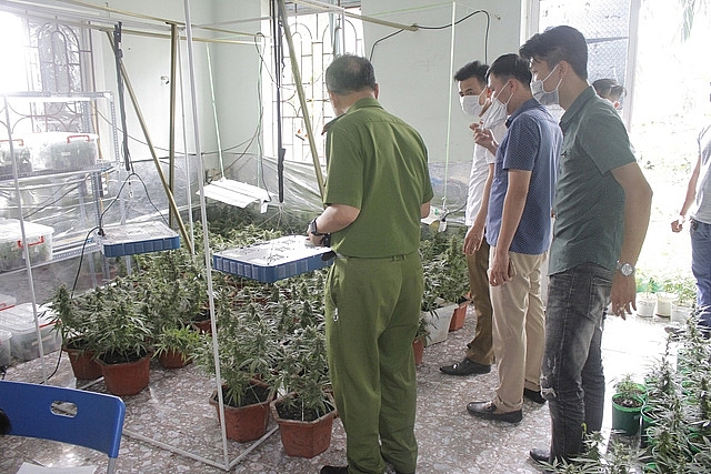 thanh vien hoi thanh duc chua troi trong gan 1000 cay nghi la can sa