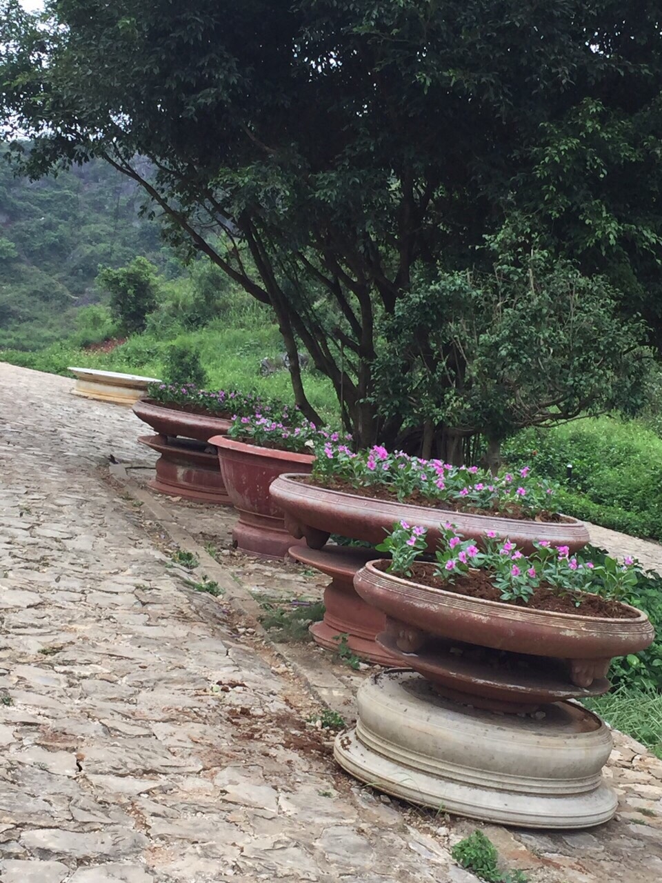 lang son dien mao moi cua di tich thanh nha mac