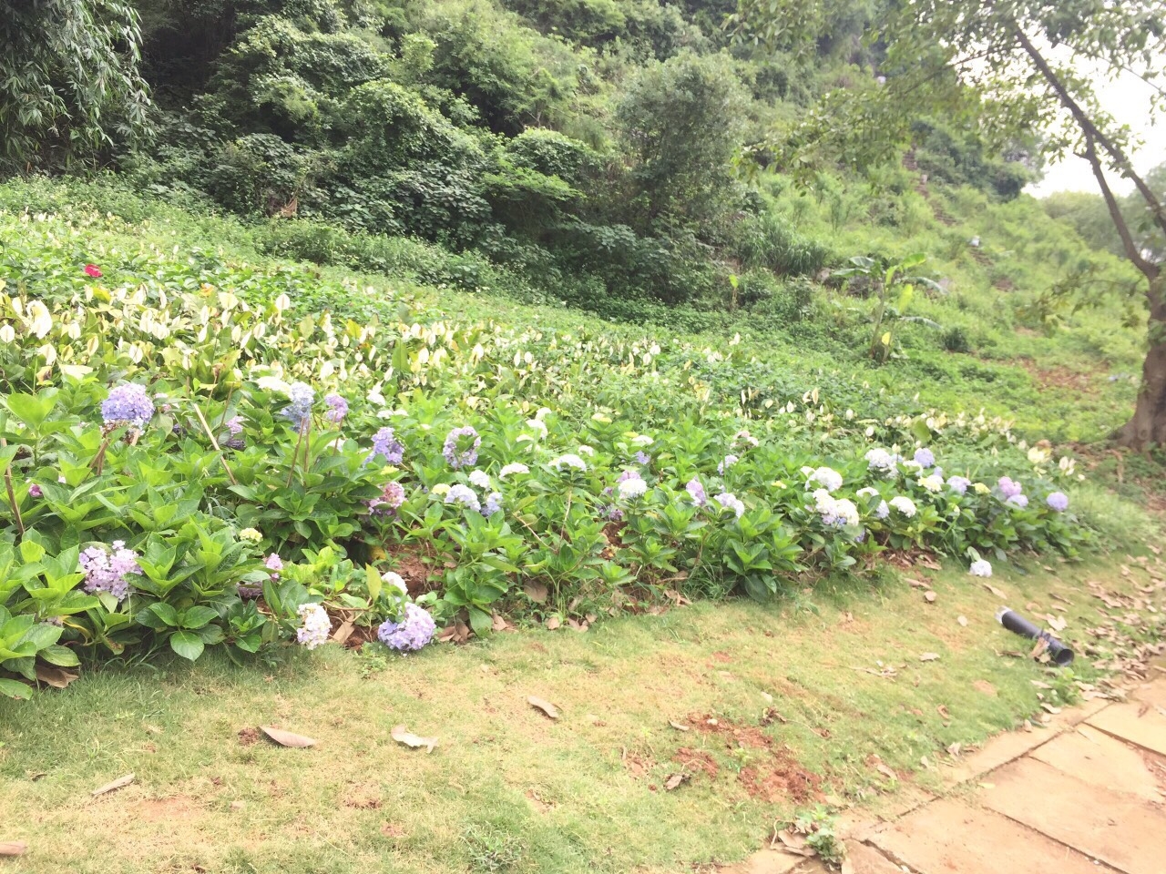 lang son dien mao moi cua di tich thanh nha mac