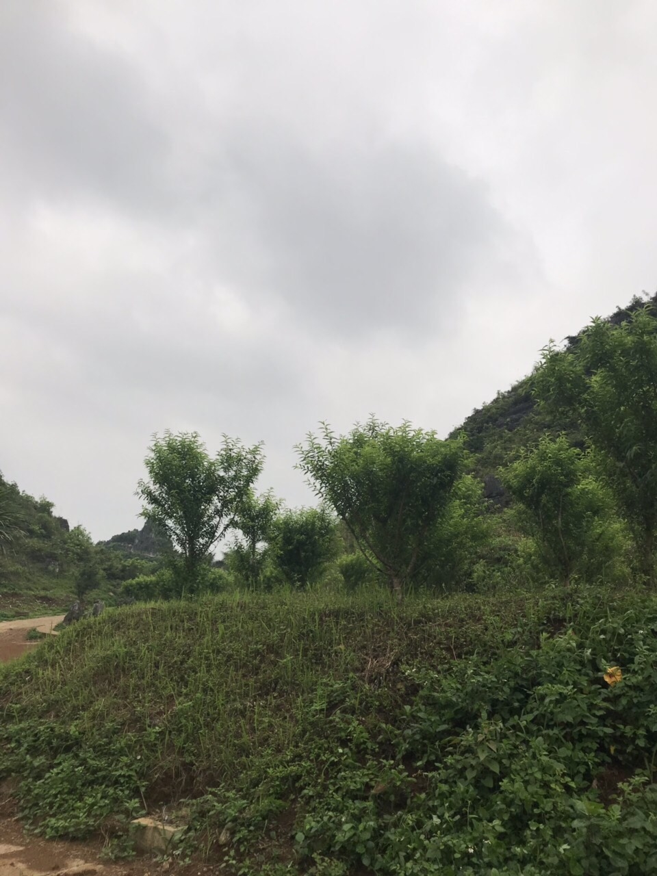 lang son dien mao moi cua di tich thanh nha mac