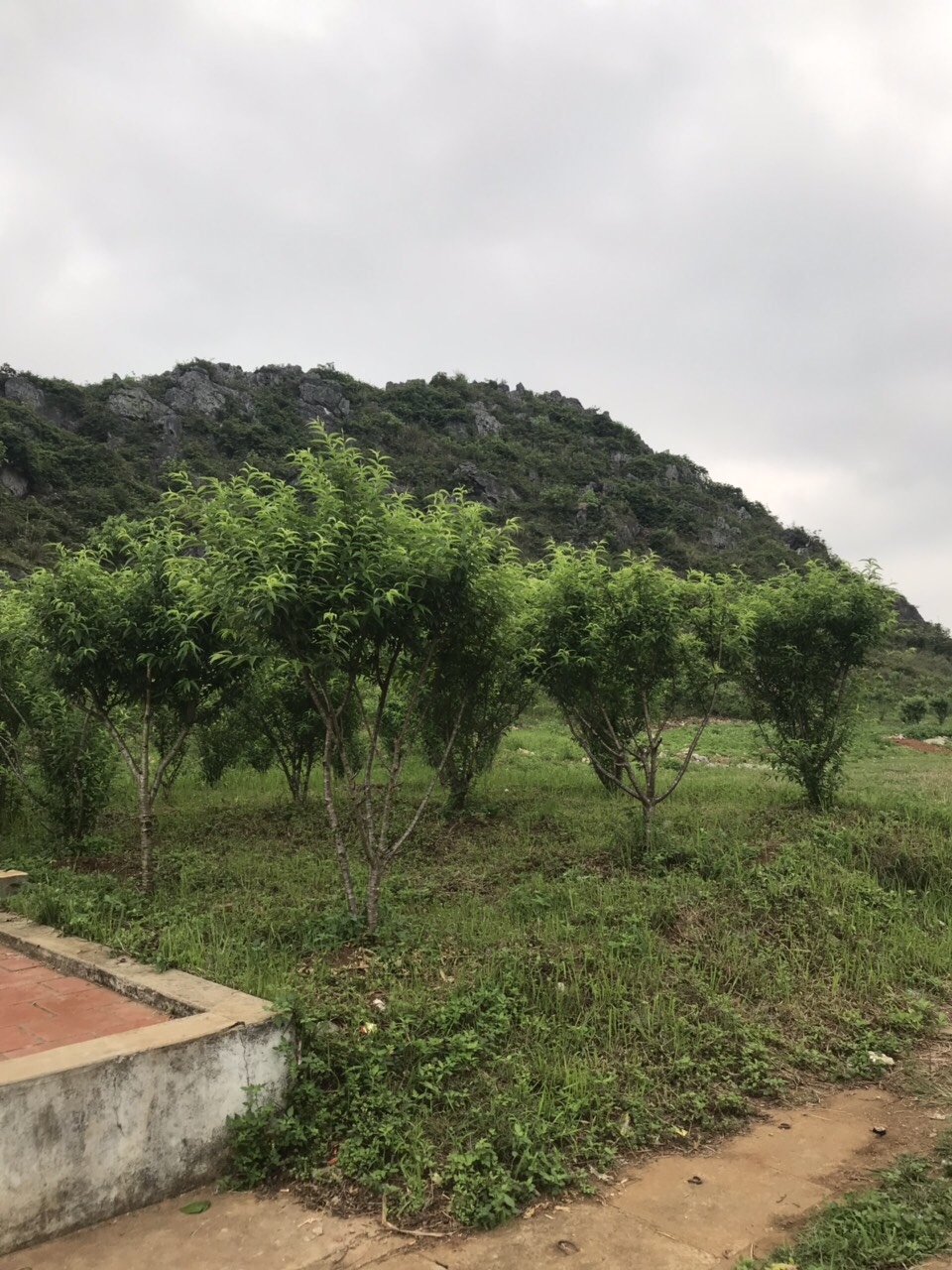 lang son dien mao moi cua di tich thanh nha mac