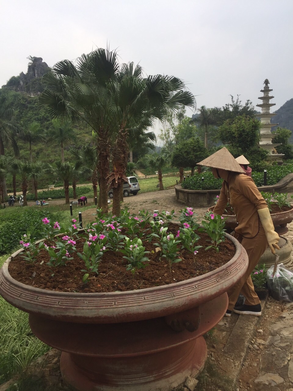 lang son dien mao moi cua di tich thanh nha mac