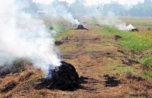 Cảnh báo ô nhiễm không khí tại khu vực miền Bắc do đốt rơm rạ canh-bao-o-nhiem-khong-khi-tai-khu-vuc-mien-bac-do-dot-rom-ra