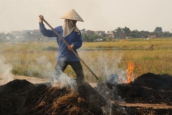 Hà Nội kiểm tra tình trạng đốt rơm rạ