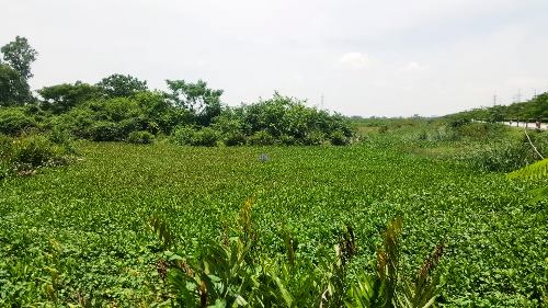 cong an hai phong dung flycam truy tim hai nghi can cuop taxi