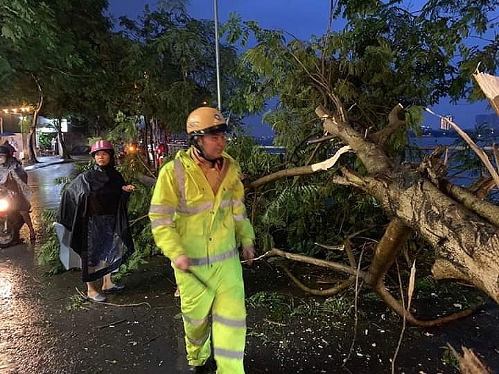 ha noi cay bat goc trung hai phu nu