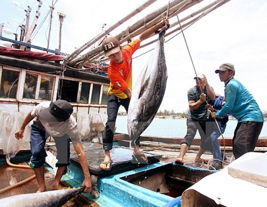 khong phai tra phi moi gioi khi di lam tai thai lan