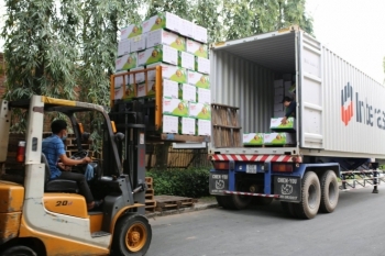Hà Nam đảm bảo lưu thông hàng hóa trước diễn biến phức tạp của dịch Covid-19