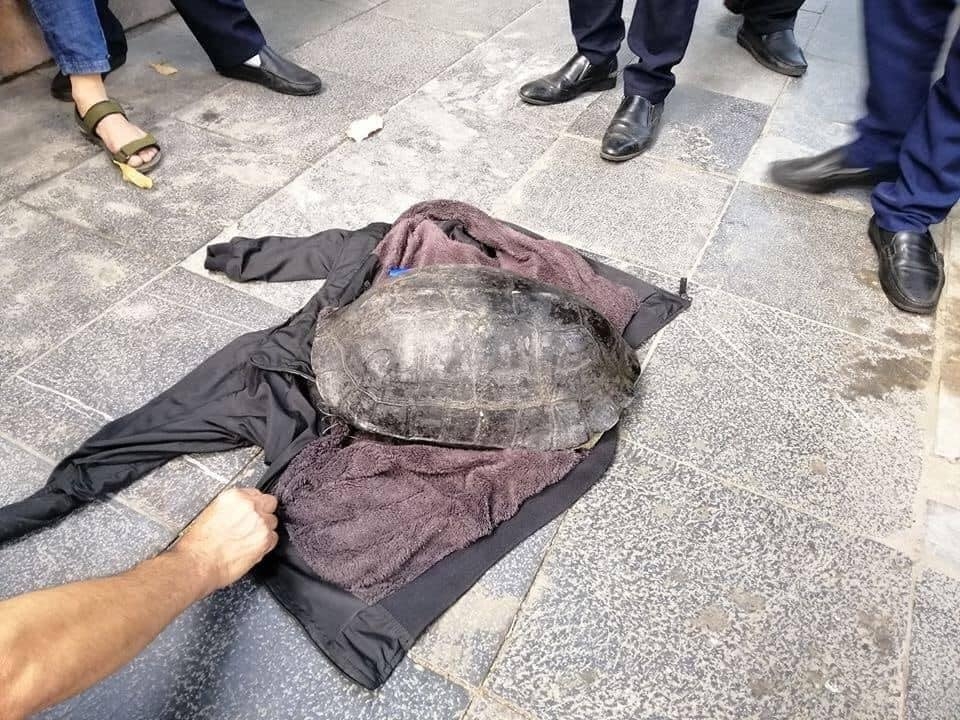 nguoi dang ong bat rua nang hon 10kg o ho guom