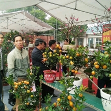 gan 200 doanh nghiep tham gia hoi cho nong nghiep agroviet 2019