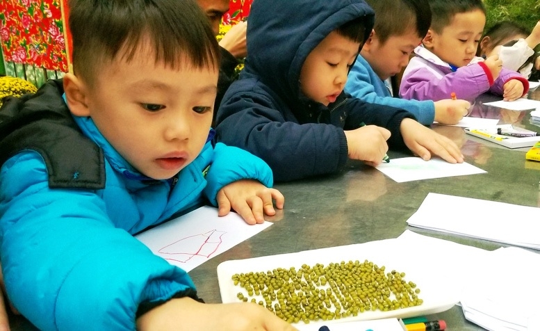 thiet ke li xi hat giong 2020 trao hat may man