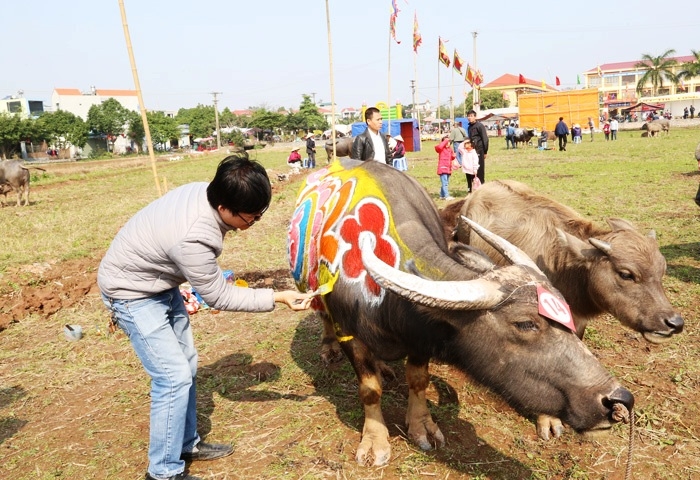 doc dao hoi thi ve trang tri trau le hoi tich dien doi son 2020