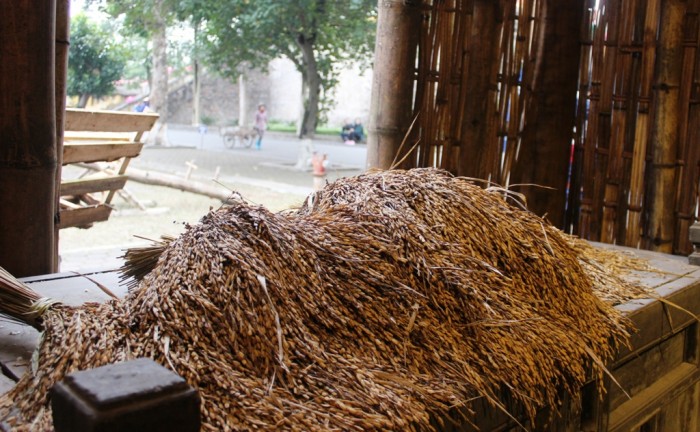 kham pha nha tre mai la giua long thu do
