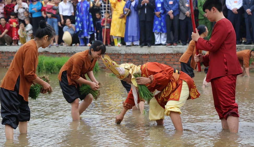 tai hien le hoi vua hung day dan cay lua