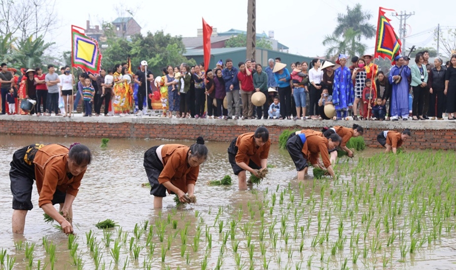 tai hien le hoi vua hung day dan cay lua