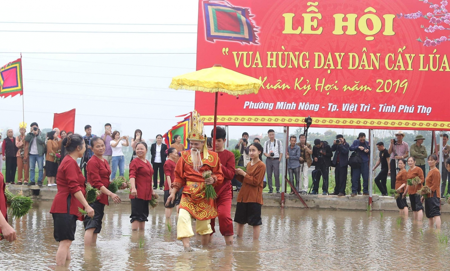 tai hien le hoi vua hung day dan cay lua