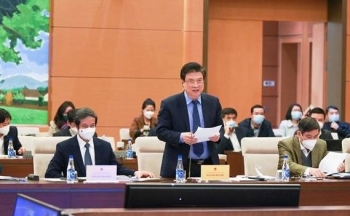 Kiến nghị không tinh giản biên chế đối với bậc mầm non, tiểu học